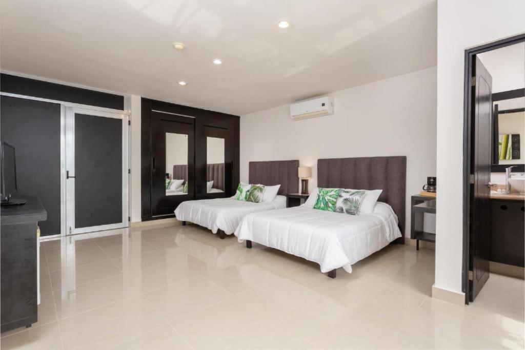 Alexander Suites